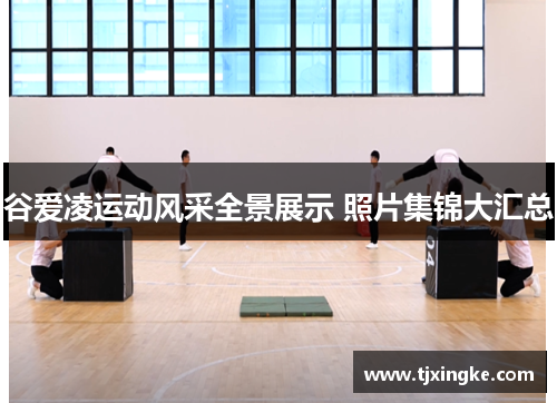 谷爱凌运动风采全景展示 照片集锦大汇总