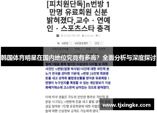 韩国体育明星在国内地位究竟有多高？全面分析与深度探讨