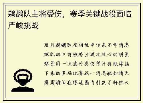 鹈鹕队主将受伤，赛季关键战役面临严峻挑战